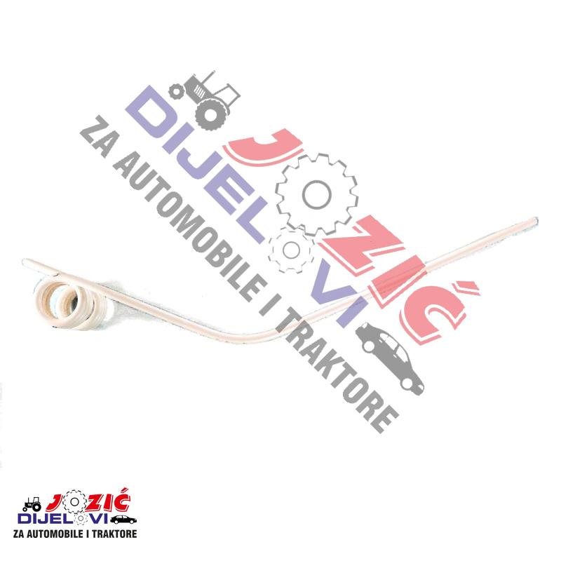 Daisy on the Ohoopee